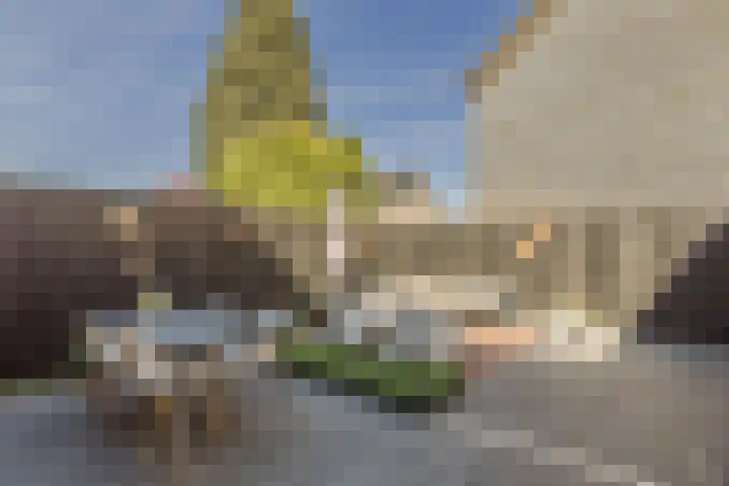 Wapendragerstraat 50 Eindhoven thumbnail 39