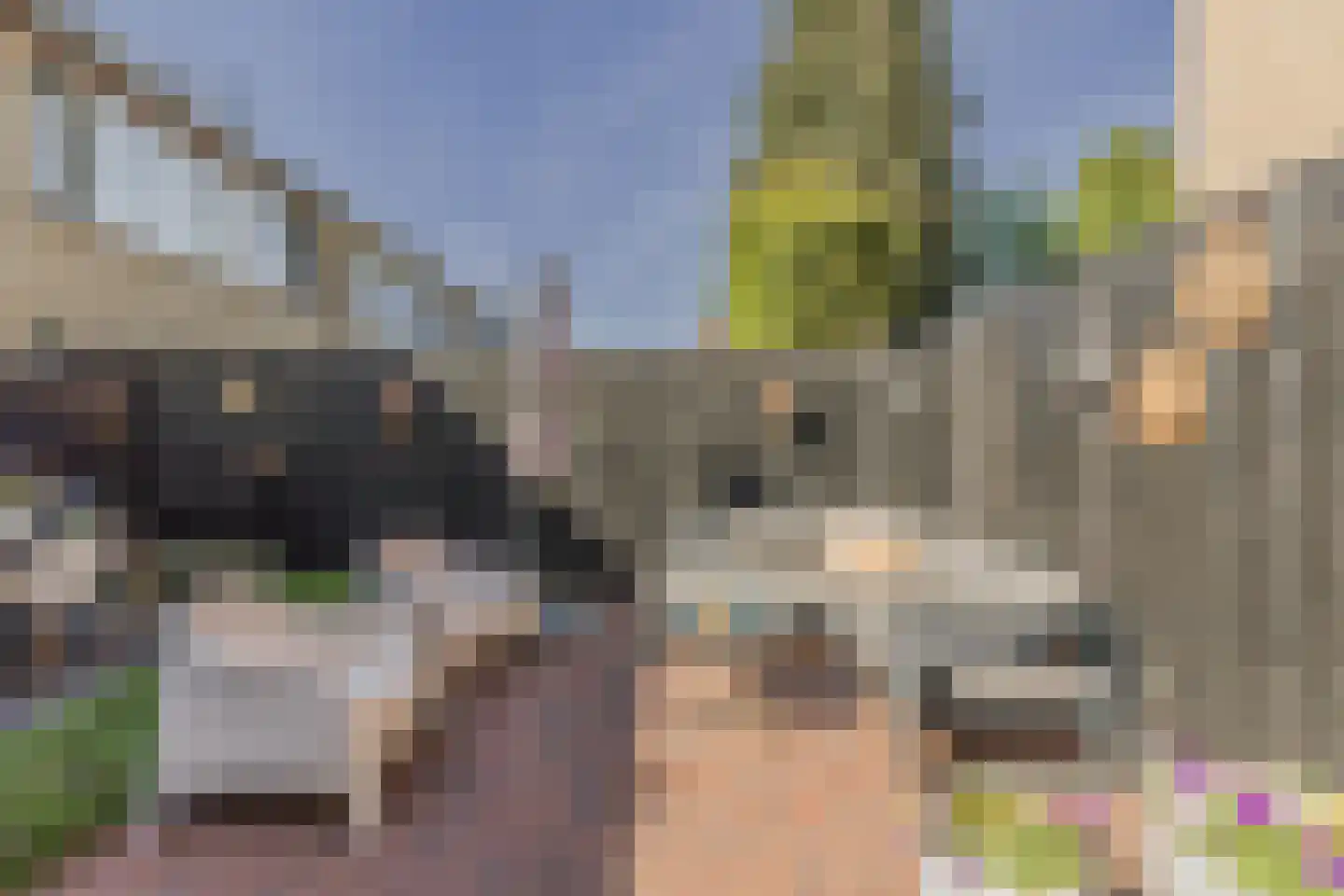 Wapendragerstraat 50 Eindhoven thumbnail 40