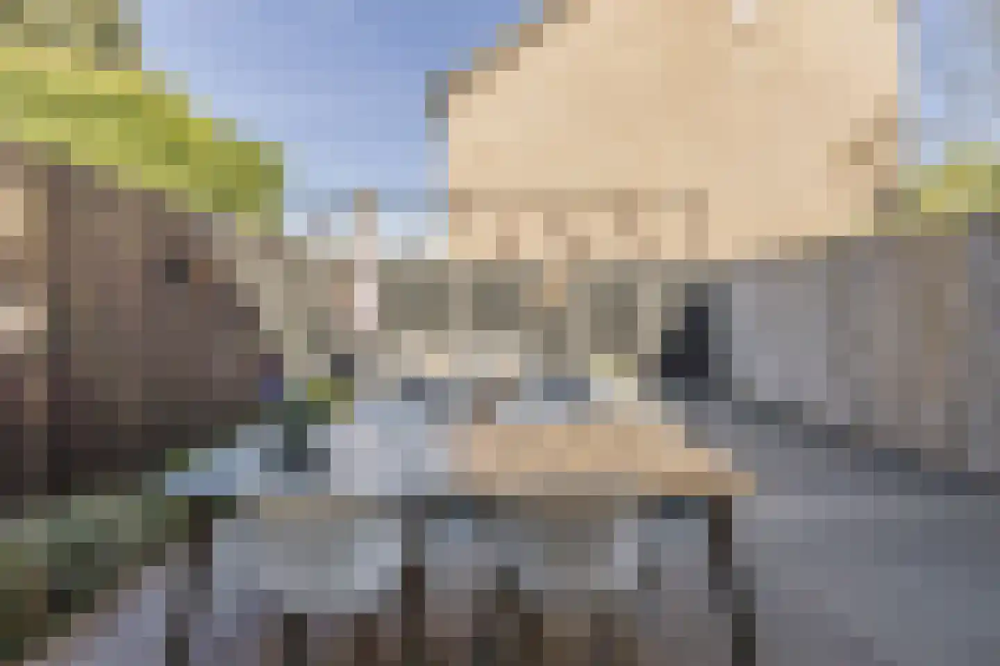 Wapendragerstraat 50 Eindhoven thumbnail 41