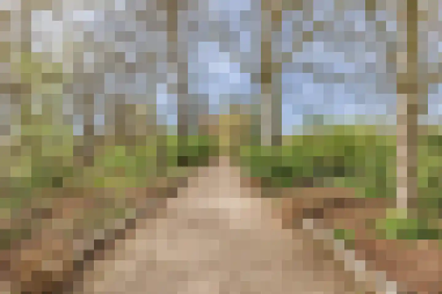 Wapendragerstraat 50 Eindhoven thumbnail 49