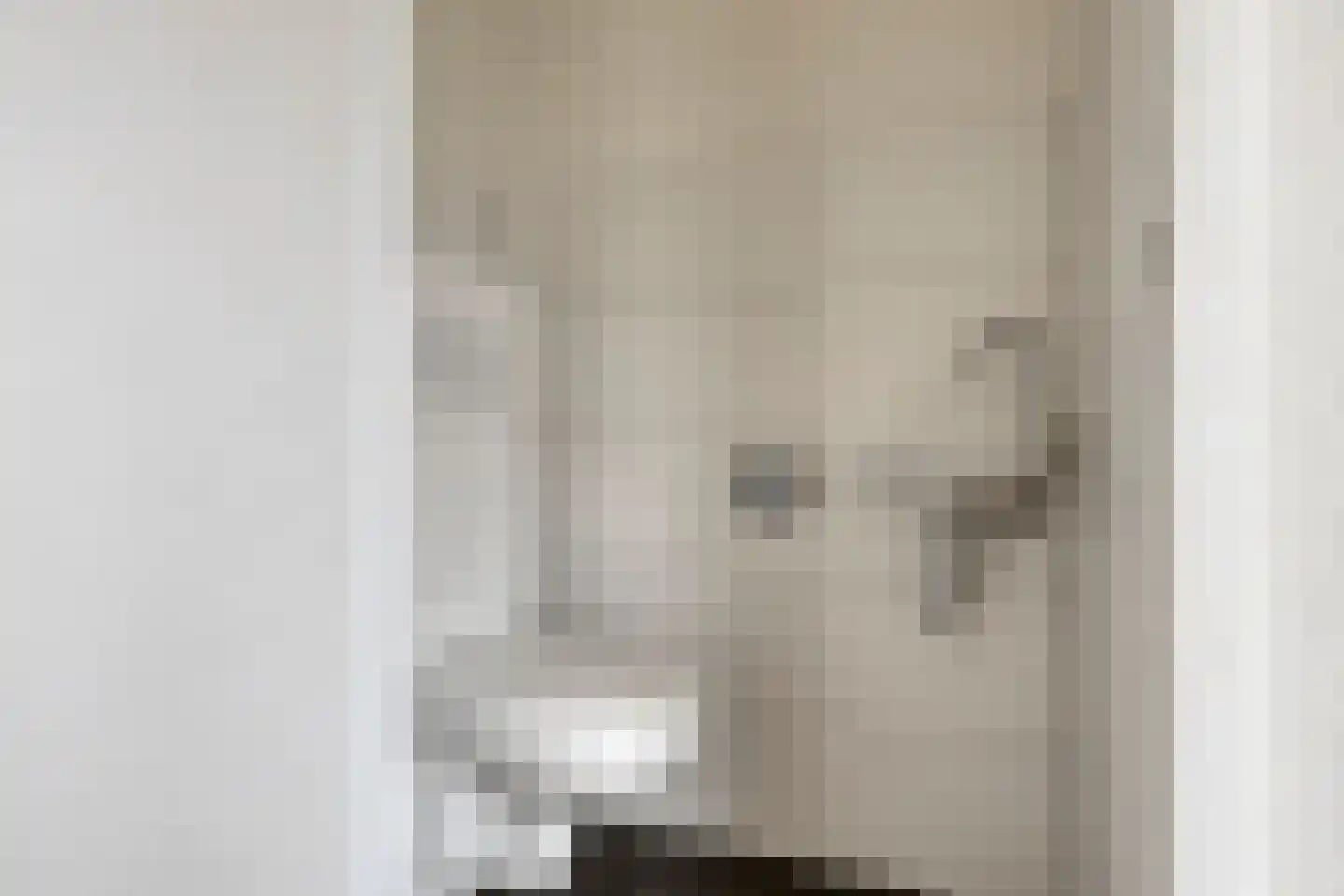 Wapendragerstraat 56 Eindhoven thumbnail 13