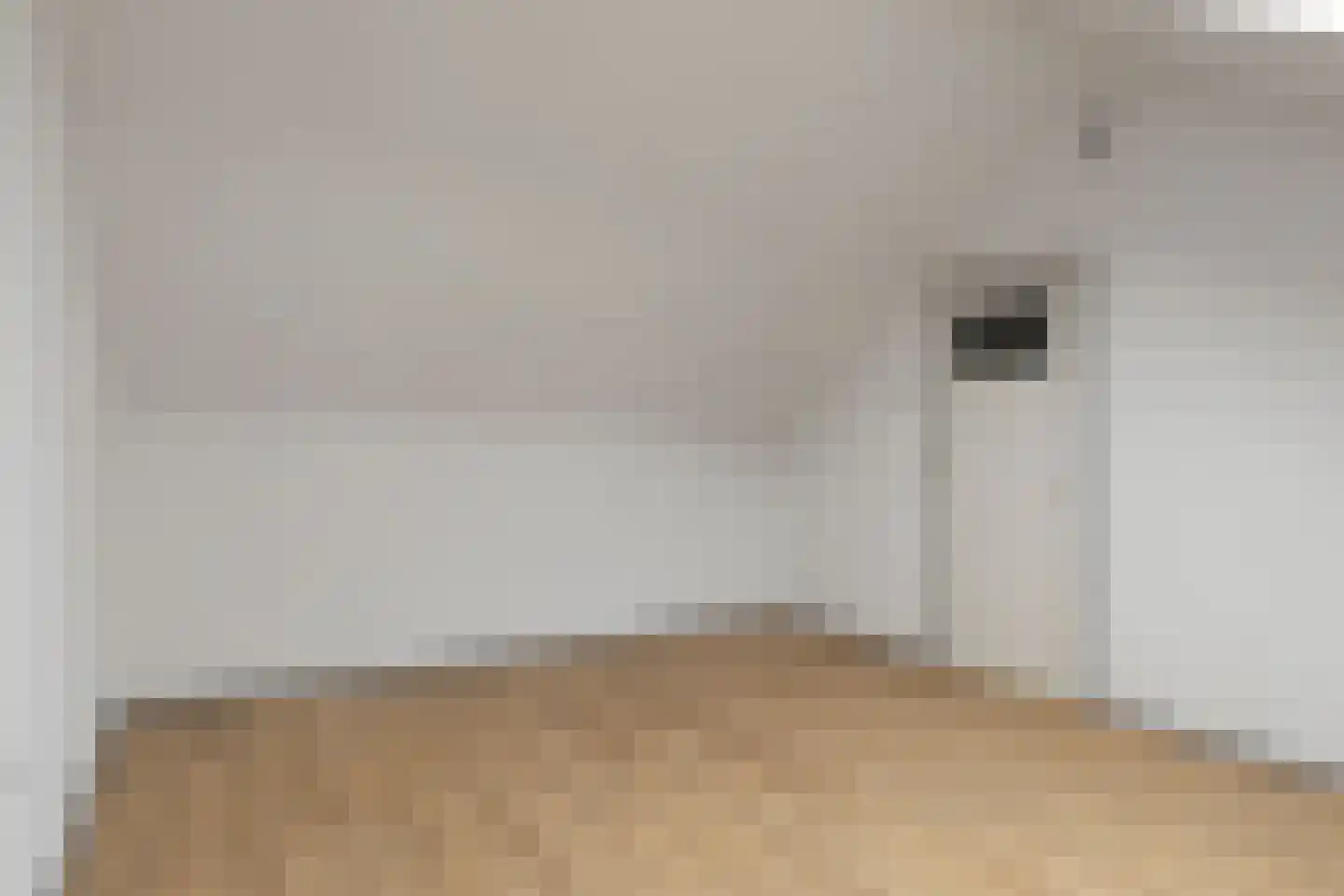 Wapendragerstraat 56 Eindhoven thumbnail 31