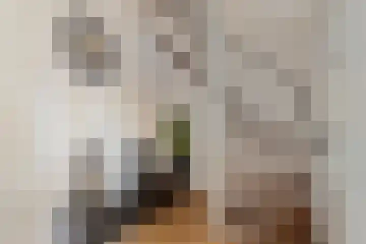 Wapendragerstraat 8 Eindhoven thumbnail 12