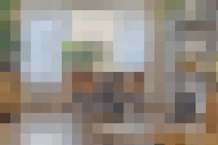 Wapendragerstraat 8 Eindhoven thumbnail 13
