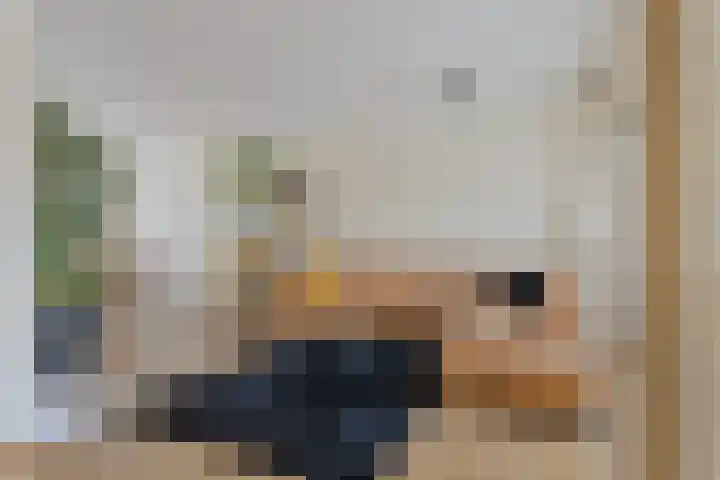 Wapendragerstraat 8 Eindhoven thumbnail 18