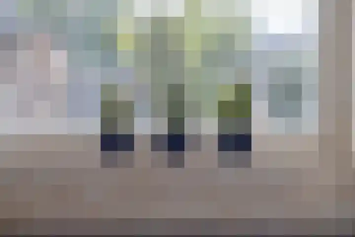 Wapendragerstraat 8 Eindhoven thumbnail 24