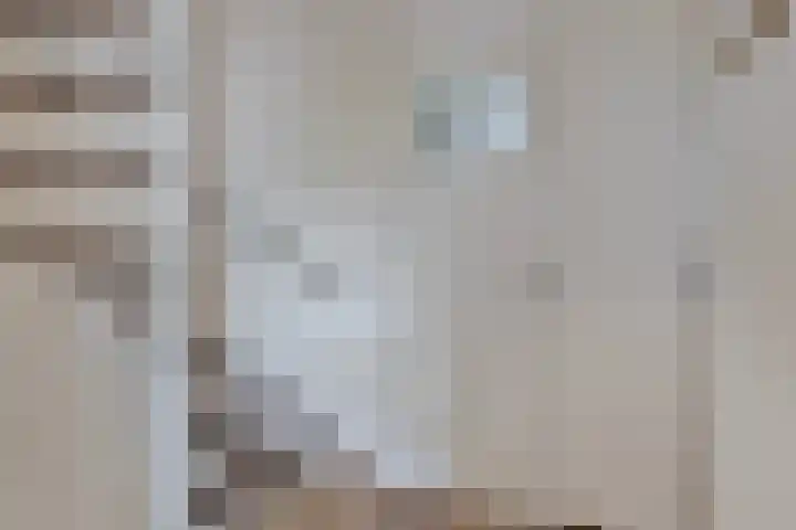 Wapendragerstraat 8 Eindhoven thumbnail 27