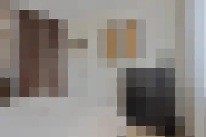Wapendragerstraat 8 Eindhoven thumbnail 29