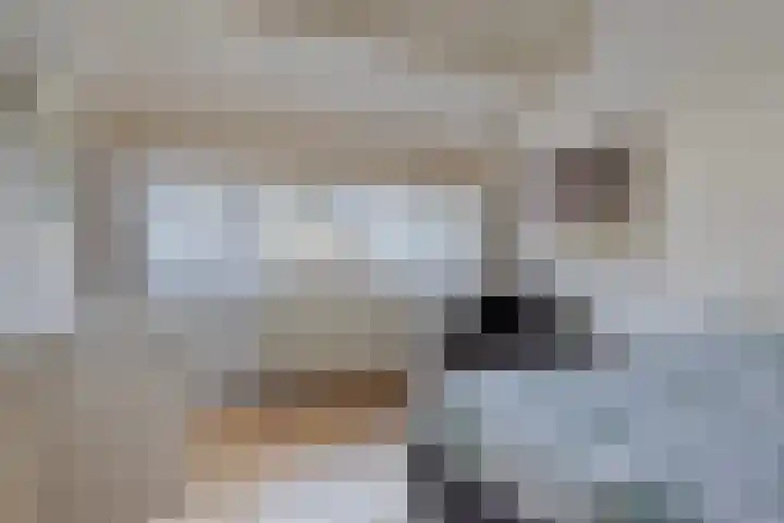 Wapendragerstraat 8 Eindhoven thumbnail 36