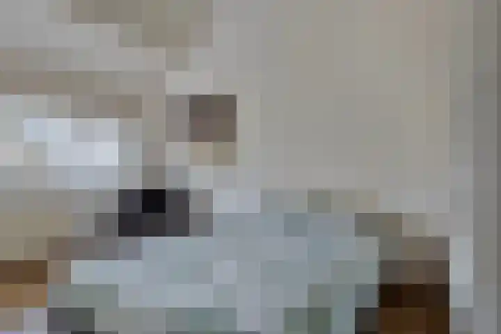 Wapendragerstraat 8 Eindhoven thumbnail 37