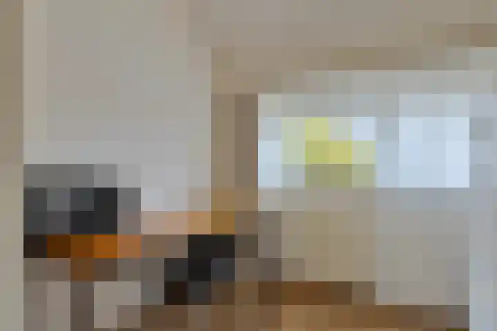 Wapendragerstraat 8 Eindhoven thumbnail 39