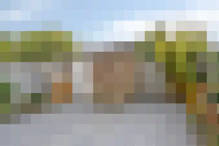Wapendragerstraat 8 Eindhoven thumbnail 4