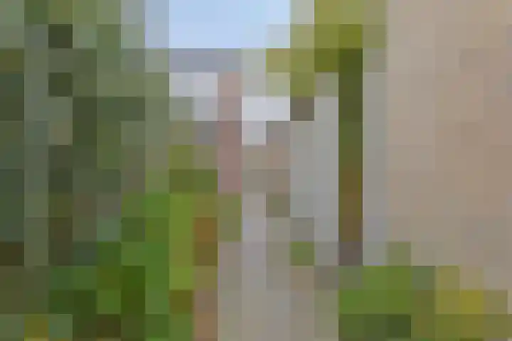 Wapendragerstraat 8 Eindhoven thumbnail 45