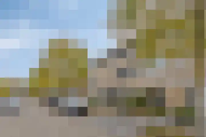 Wapendragerstraat 8 Eindhoven thumbnail 7