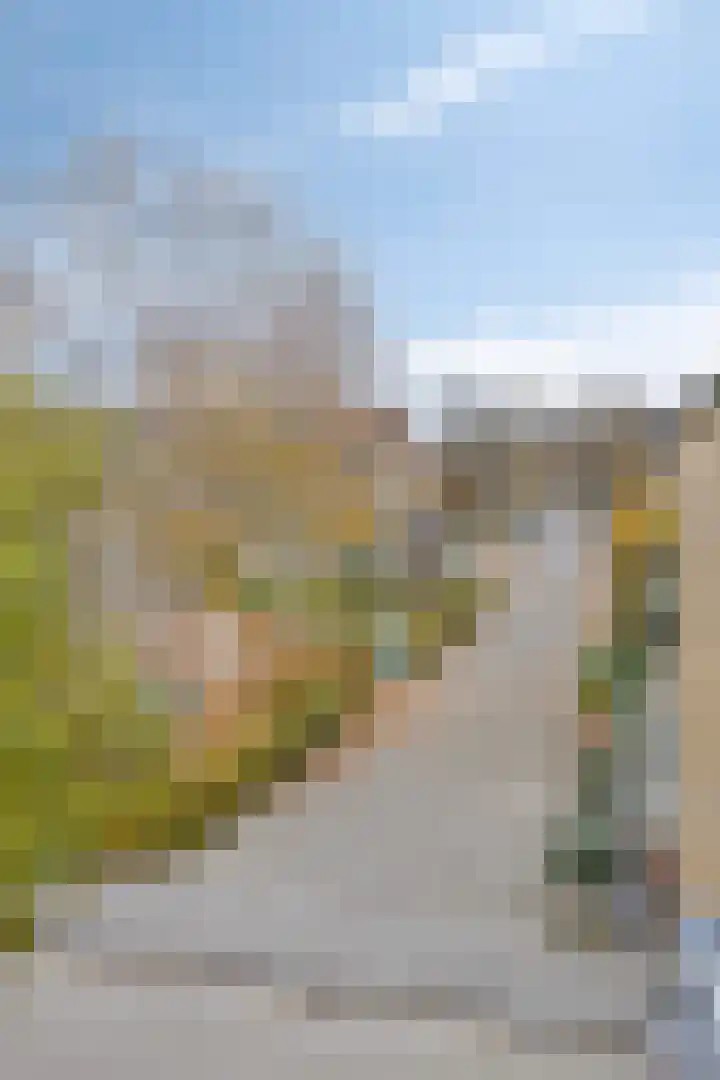 Wapendragerstraat 8 Eindhoven thumbnail 8