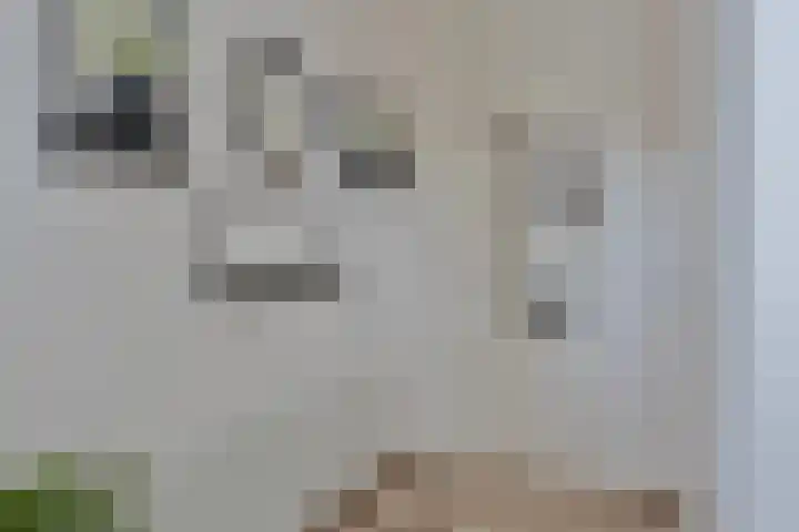 Wapendragerstraat 8 Eindhoven thumbnail 9