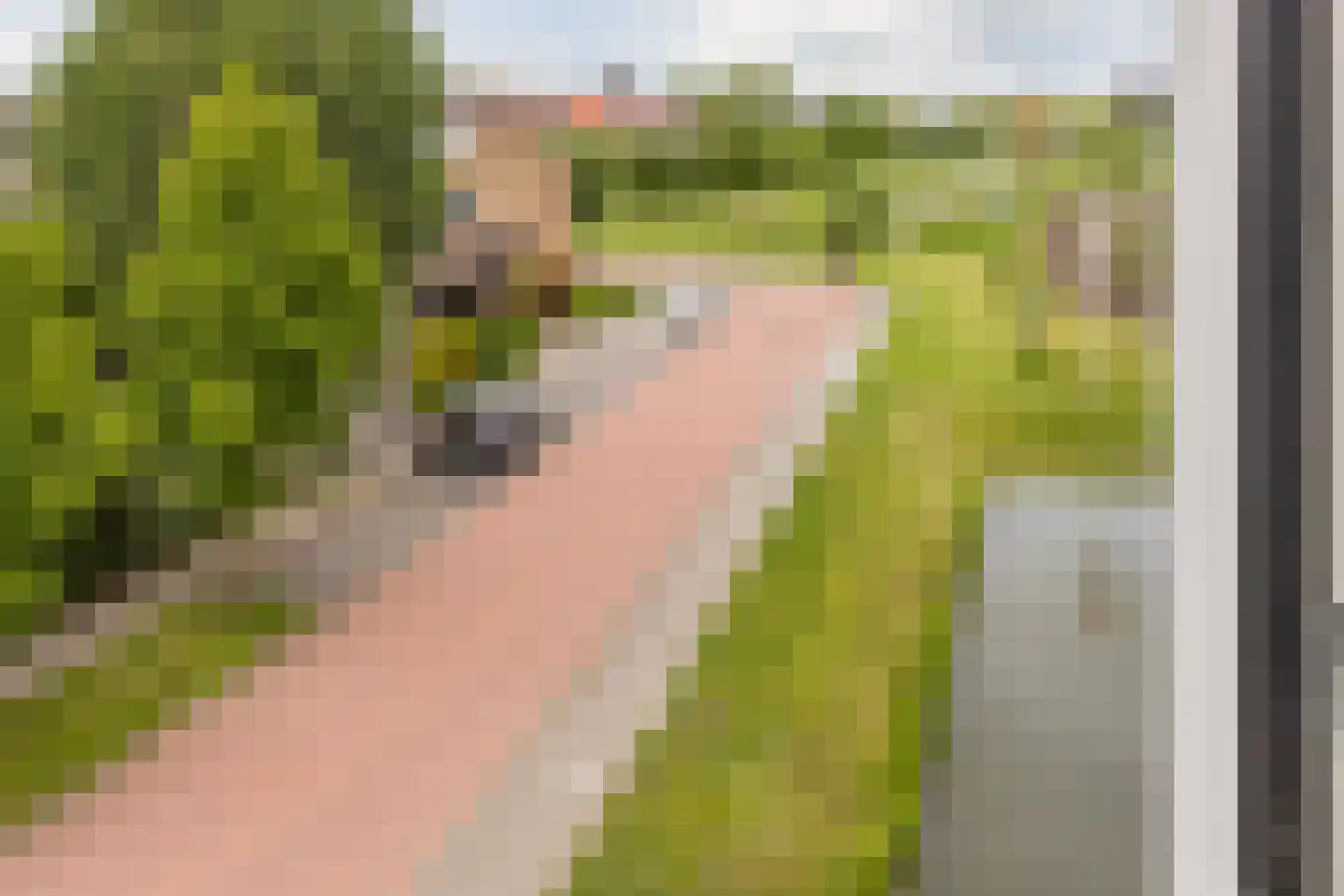 Wapenplaats 72 Steenbergen thumbnail 45