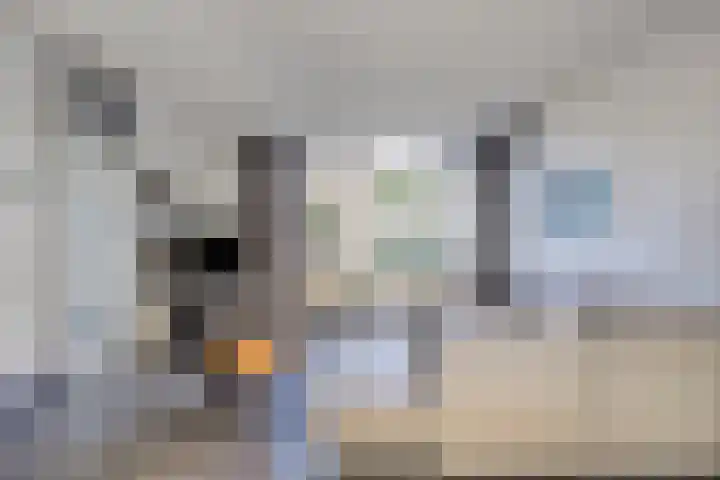 Wapenstekererf 4 Roermond thumbnail 11