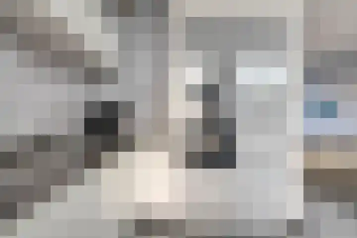 Wapenstekererf 4 Roermond thumbnail 17