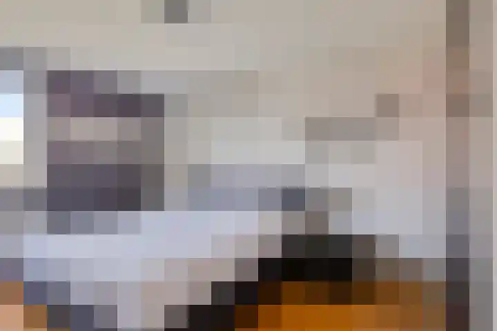 Wapenstekererf 4 Roermond thumbnail 20