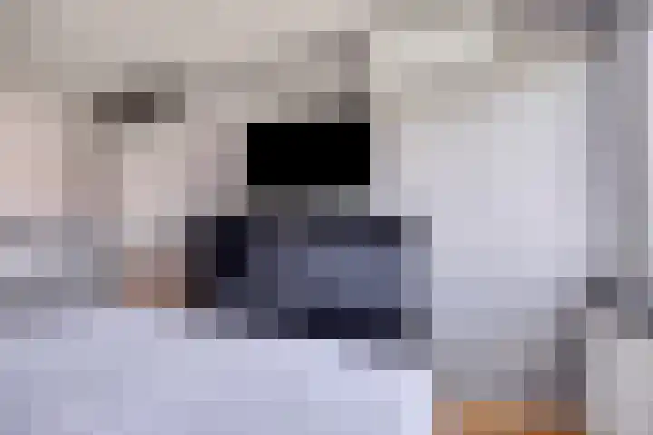 Wapenstekererf 4 Roermond thumbnail 21