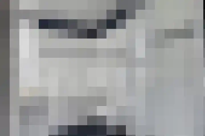 Wapenstekererf 4 Roermond thumbnail 25