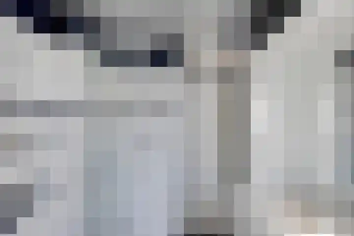 Wapenstekererf 4 Roermond thumbnail 26