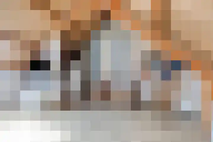 Wapenstekererf 4 Roermond thumbnail 29