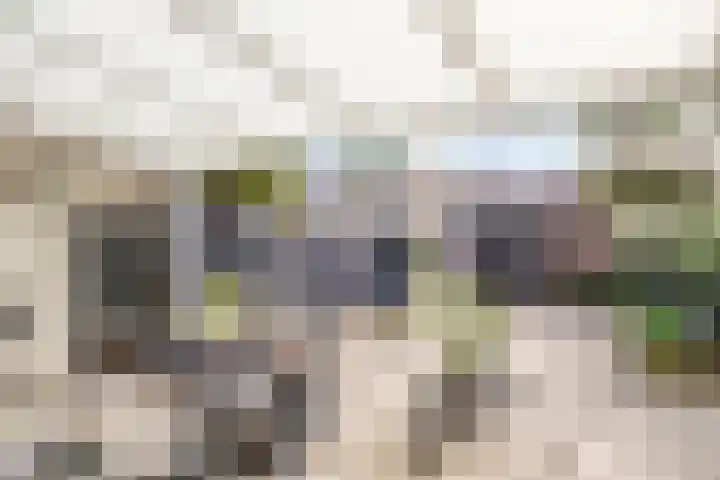 Wapenstekererf 4 Roermond thumbnail 32