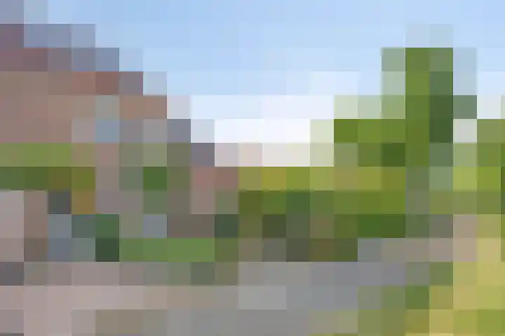 Wapenstekererf 4 Roermond thumbnail 37