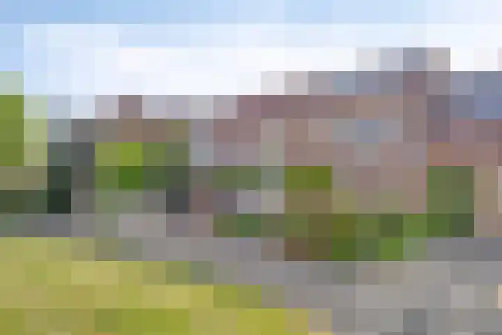 Wapenstekererf 4 Roermond thumbnail 38