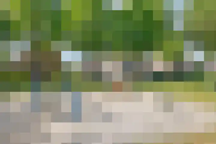 Wapenstekererf 4 Roermond thumbnail 40