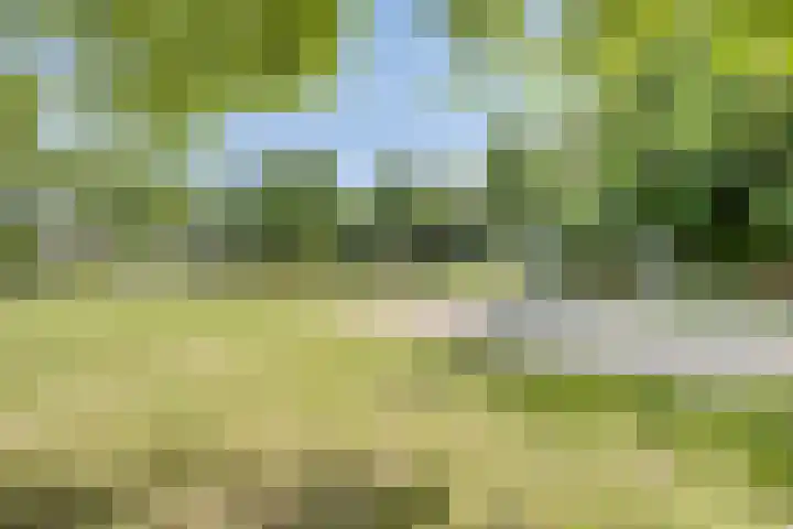 Wapenstekererf 4 Roermond thumbnail 41