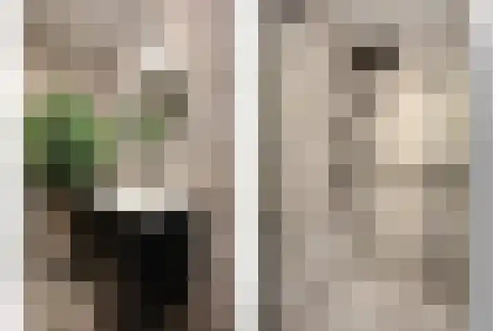 Wapenstraat 9 B Rotterdam thumbnail 35