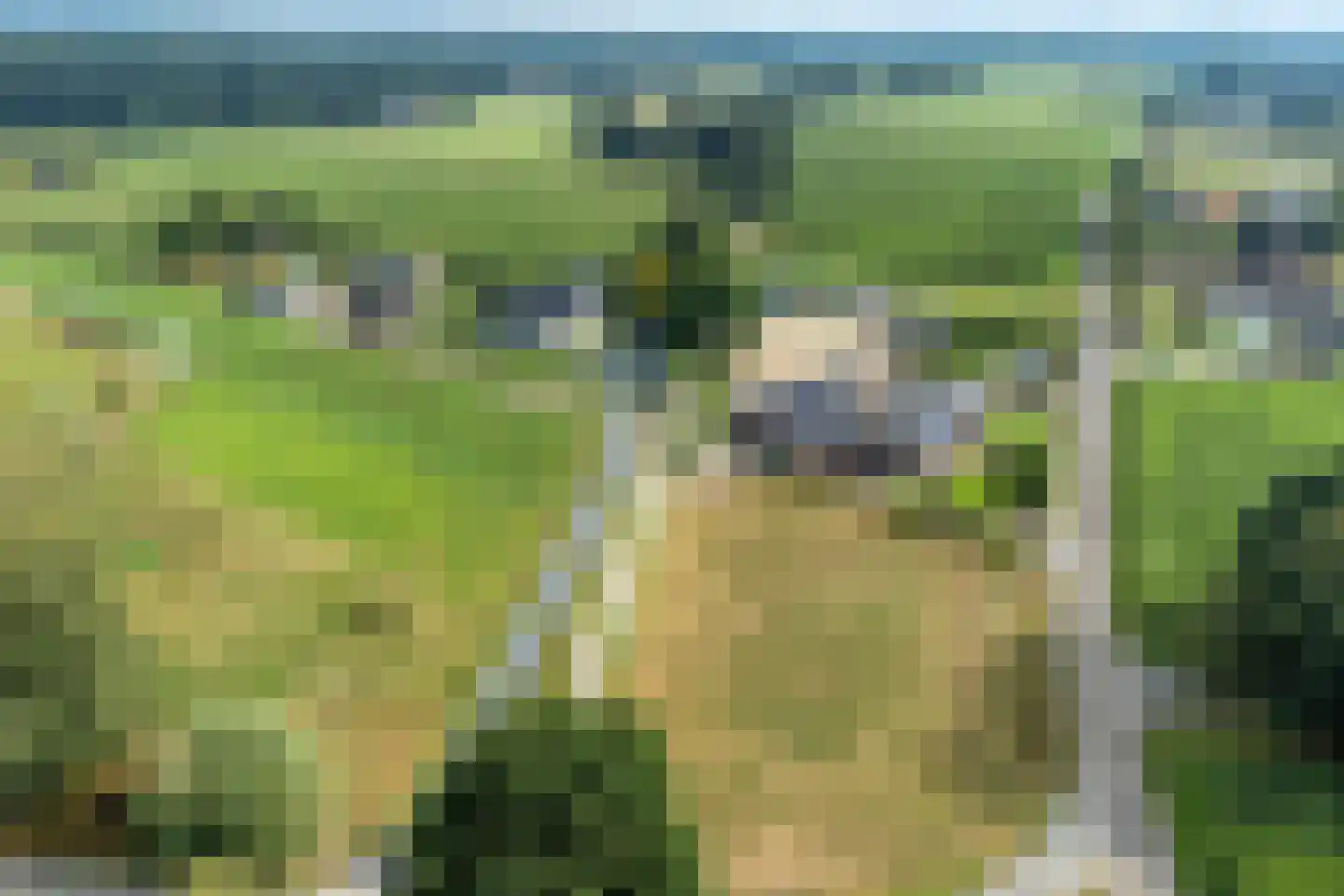 Wapenvelder Kerkweg 1 Wapenveld thumbnail 4