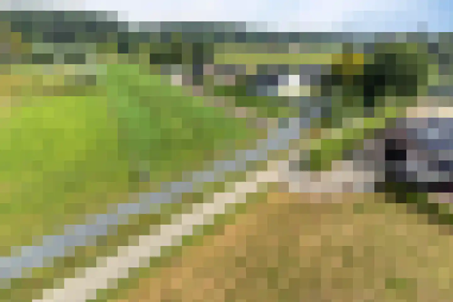 Wapenvelder Kerkweg 1 Wapenveld thumbnail 5