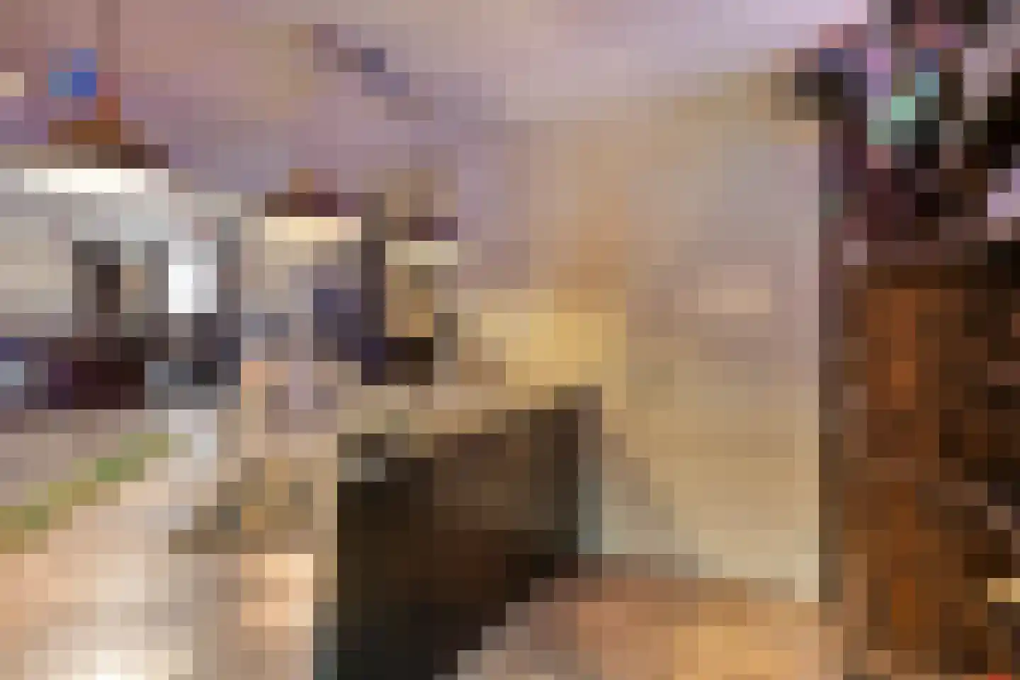 Wapenvelder Kerkweg 1 Wapenveld thumbnail 55