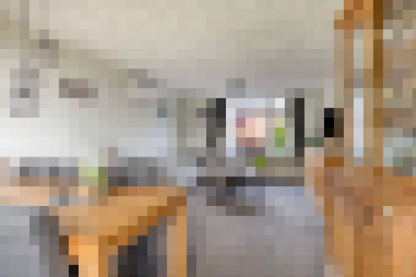 Wapenvelder Kerkweg 1 Wapenveld thumbnail 7
