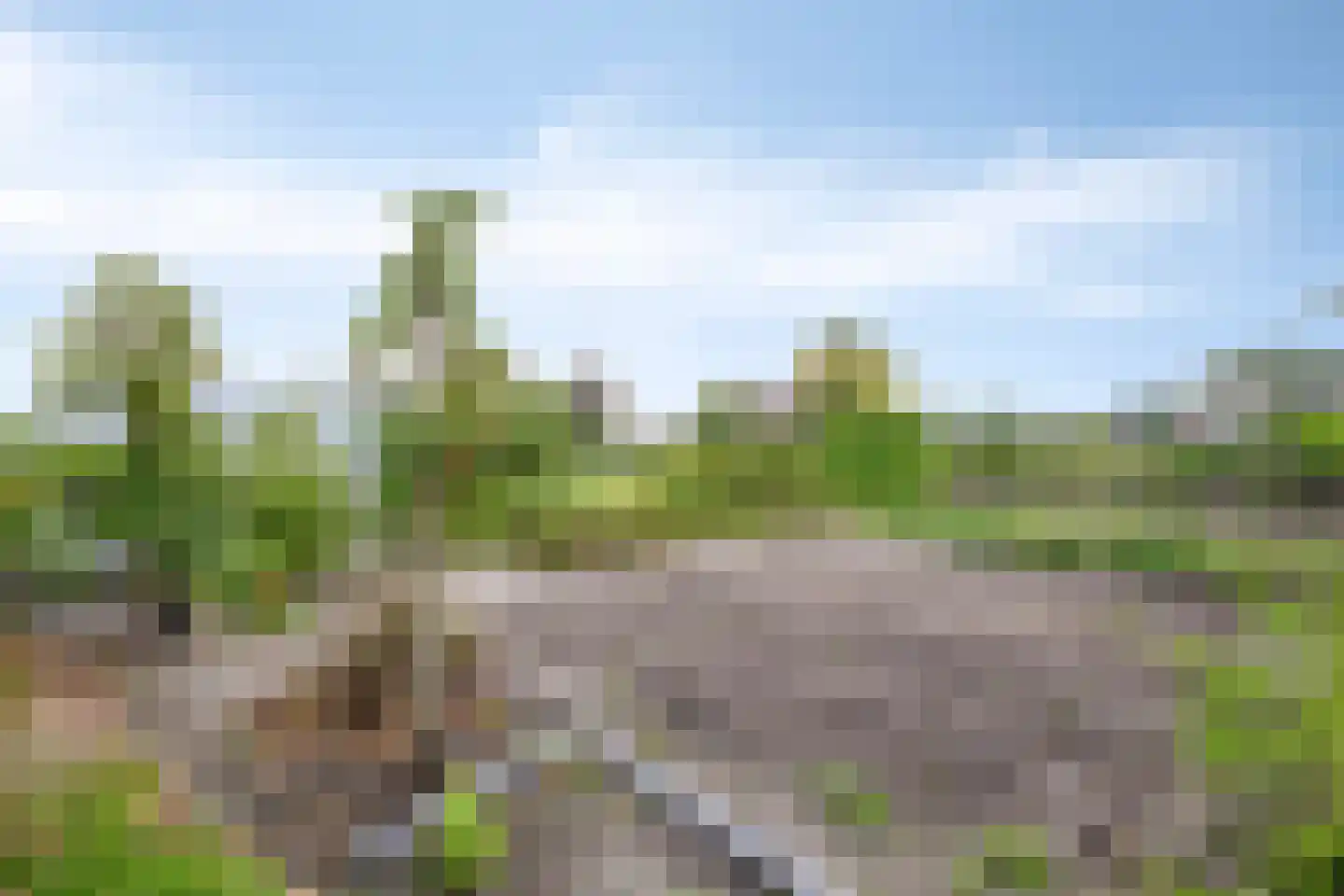 Wapenvelder Kerkweg 1 Wapenveld thumbnail 73