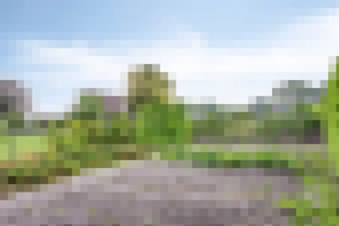 Wapenvelder Kerkweg 1 Wapenveld thumbnail 74