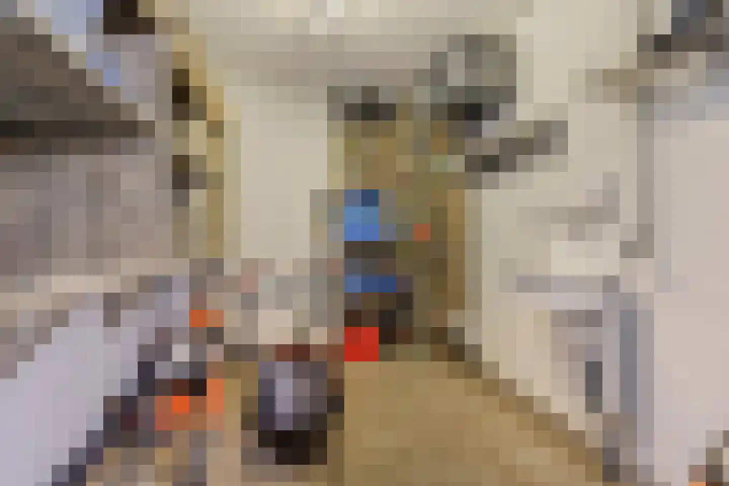 Wapenvelder Kerkweg 1 Wapenveld thumbnail 80