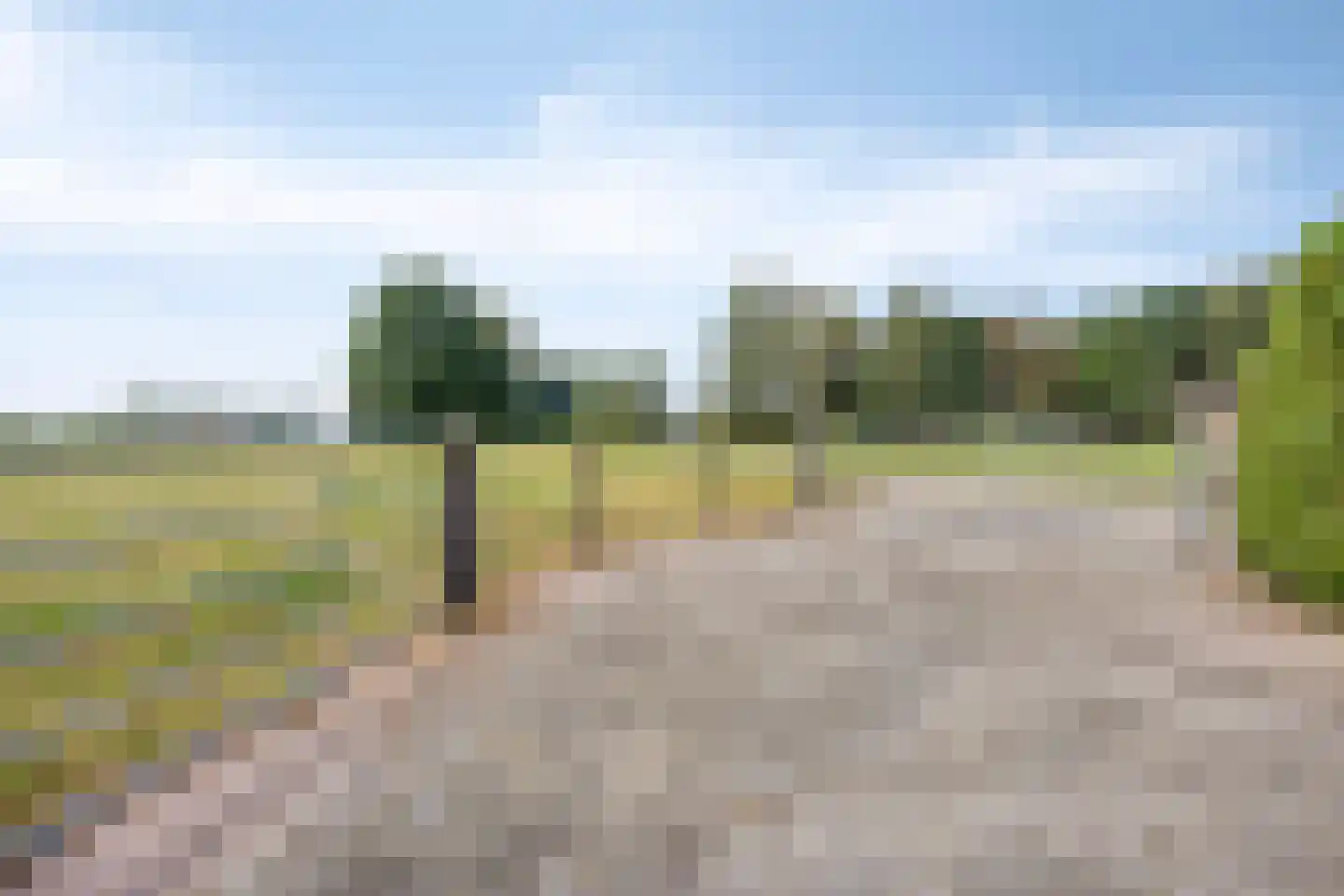 Wapenvelder Kerkweg 1 Wapenveld thumbnail 81