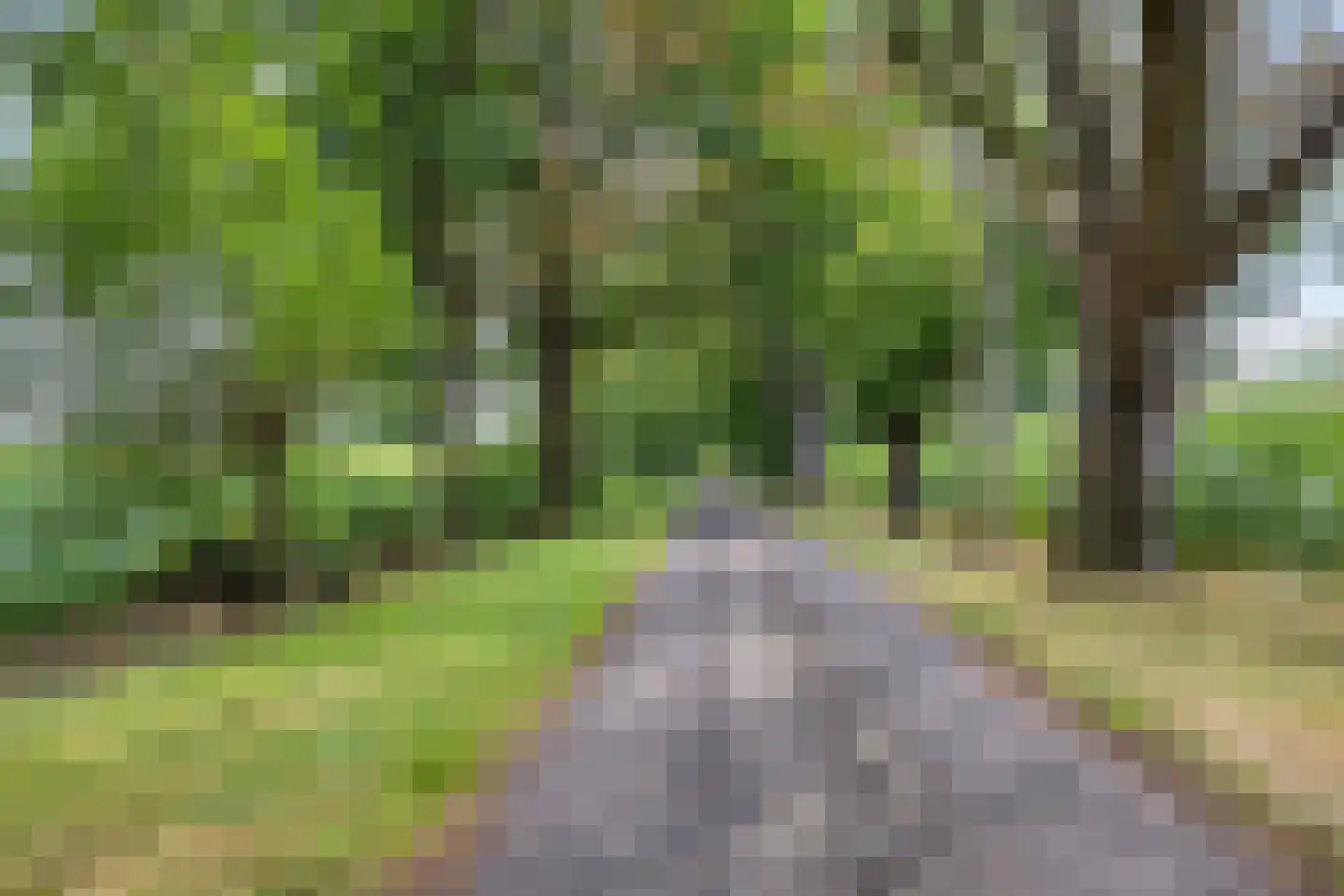 Wapenvelder Kerkweg 1 Wapenveld thumbnail 84