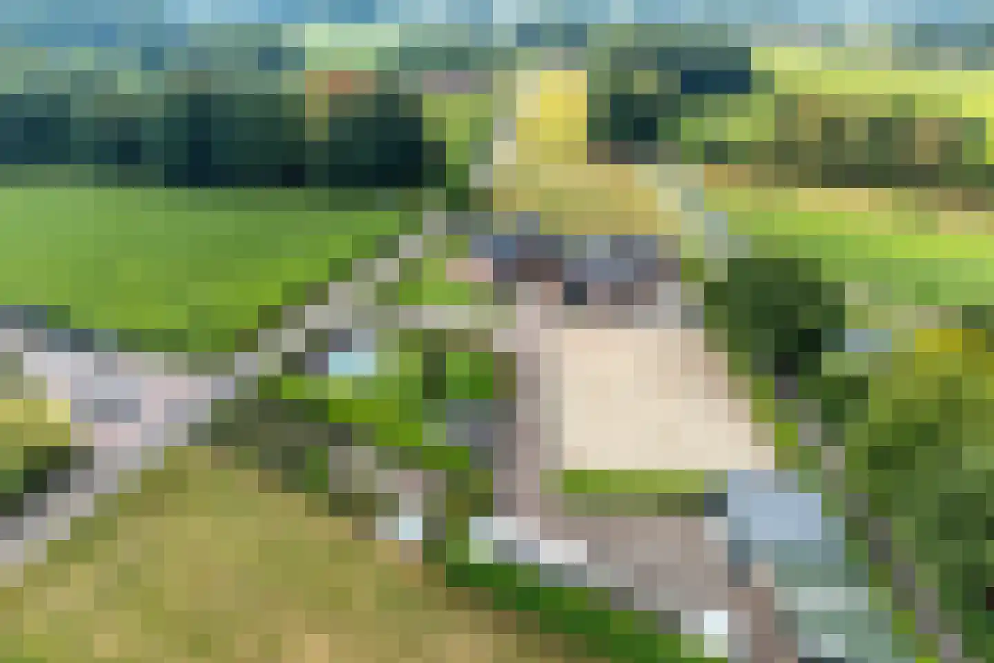 Wapenvelder Kerkweg 1 Wapenveld thumbnail 85
