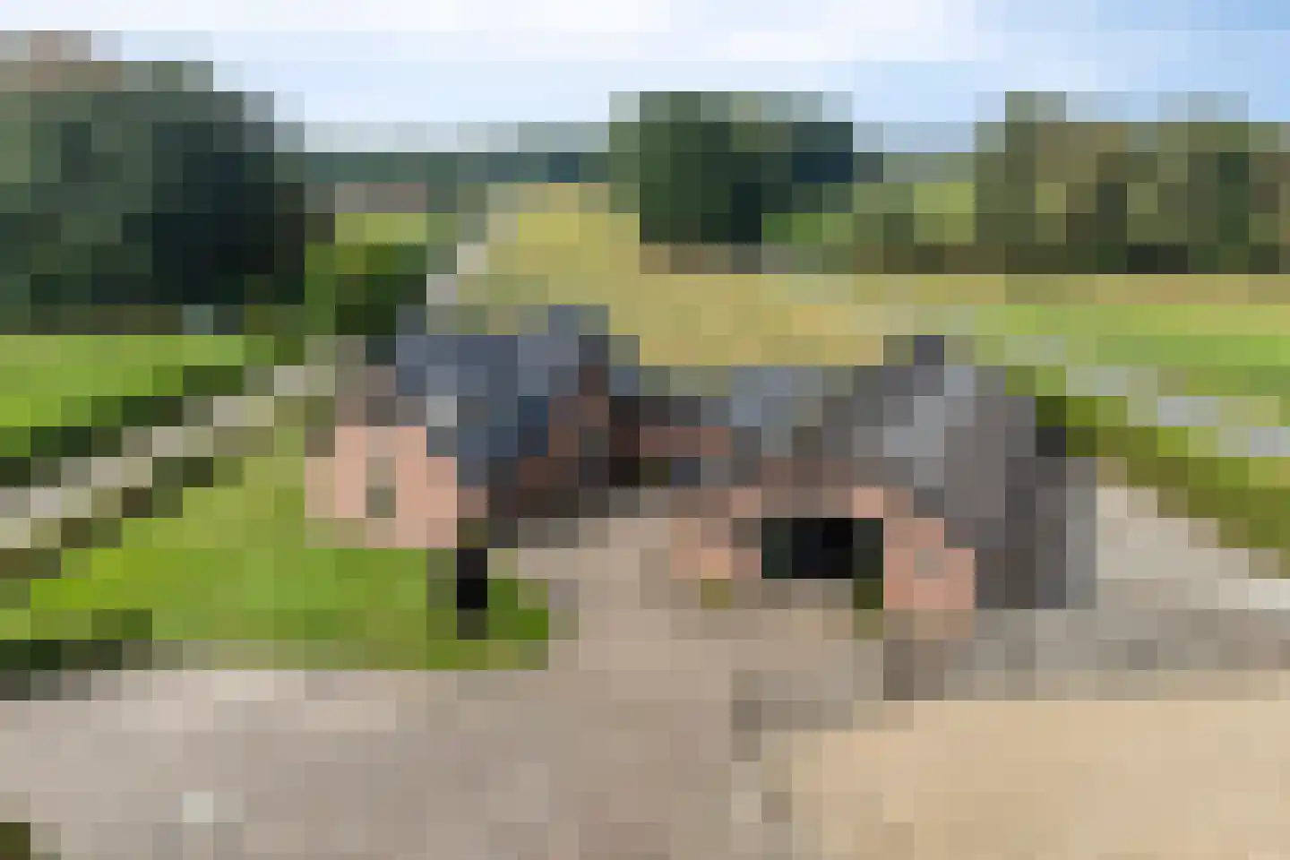 Wapenvelder Kerkweg 1 Wapenveld thumbnail 87