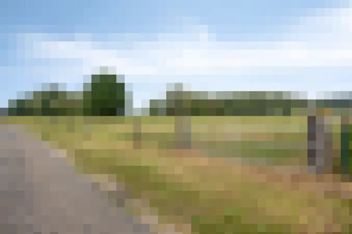 Wapenvelder Kerkweg 1 Wapenveld thumbnail 89