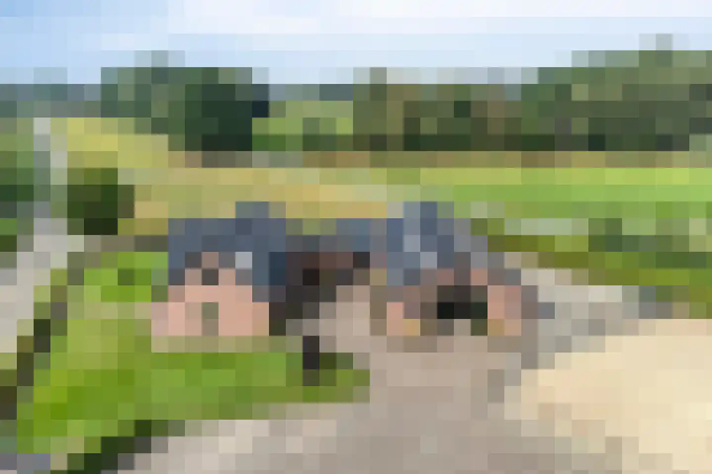 Wapenvelder Kerkweg 1 Wapenveld thumbnail 91