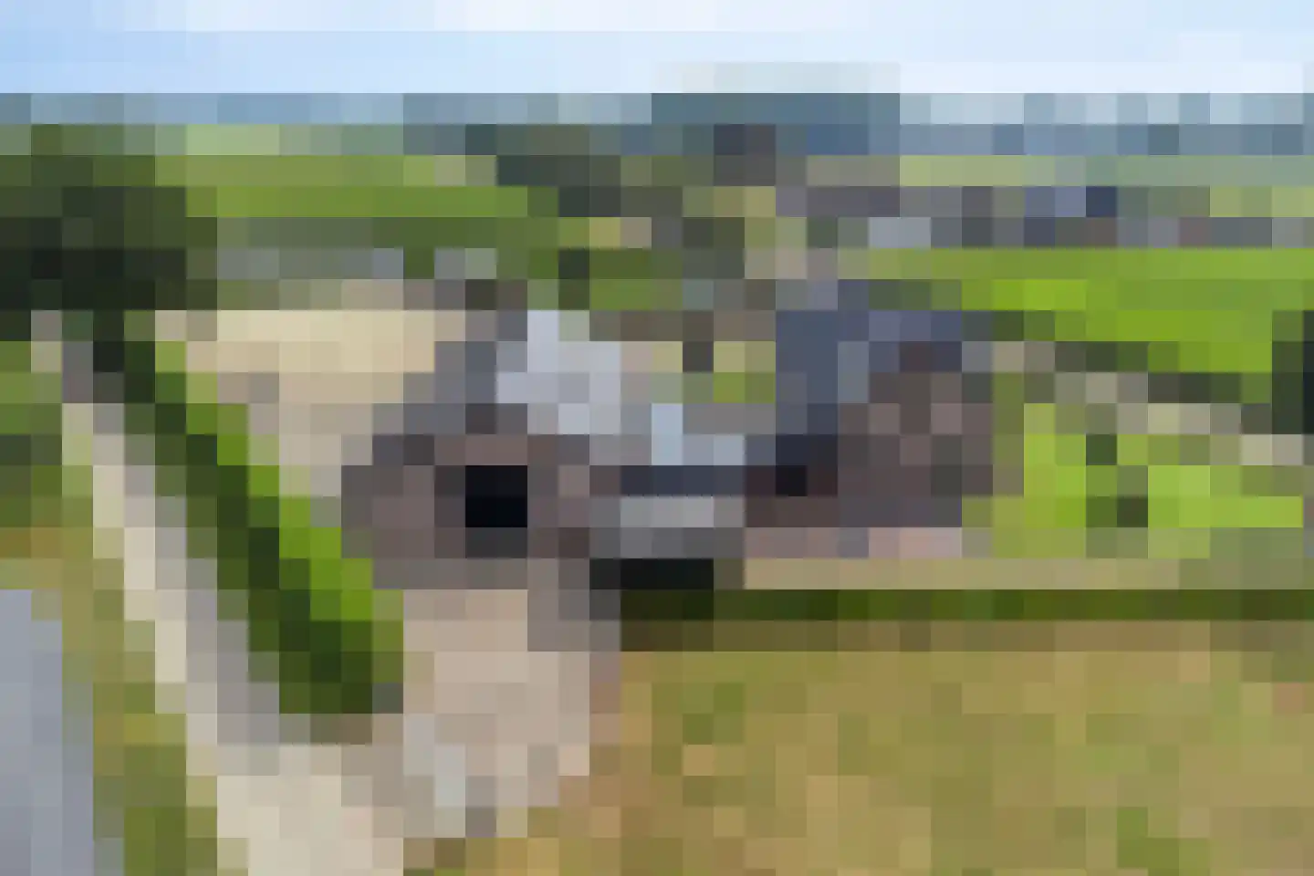 Wapenvelder Kerkweg 1 Wapenveld thumbnail 92
