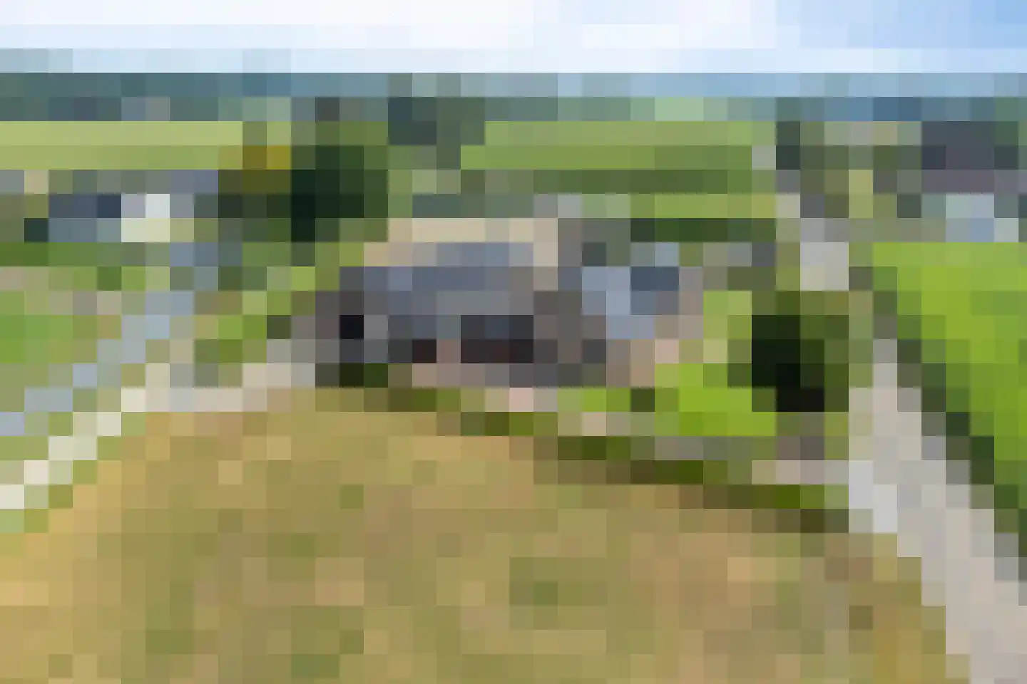 Wapenvelder Kerkweg 1 Wapenveld thumbnail 93