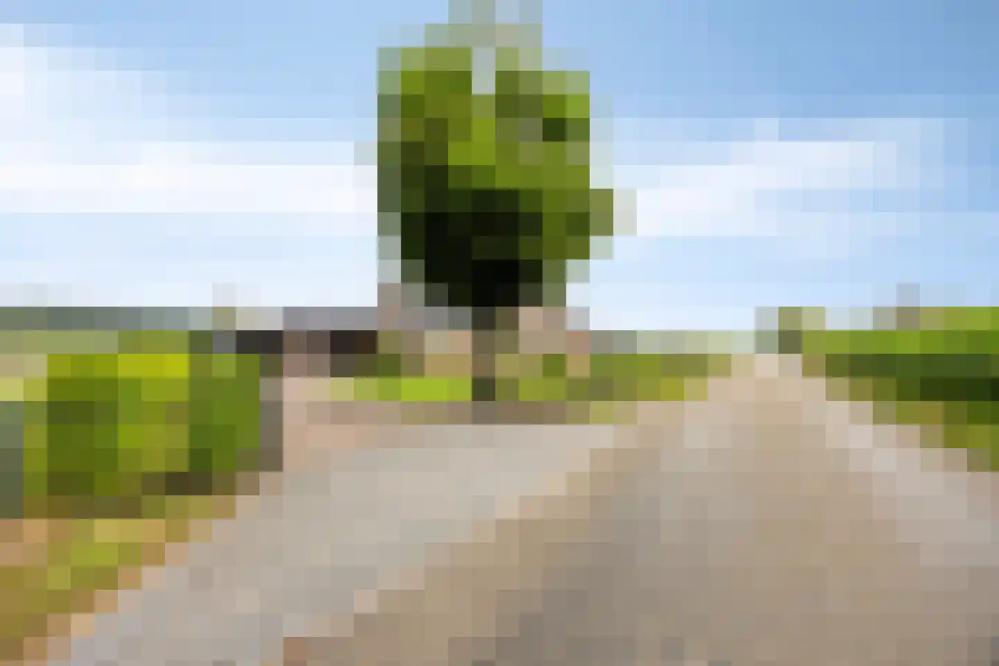 Wapenvelder Kerkweg 1 Wapenveld thumbnail 96